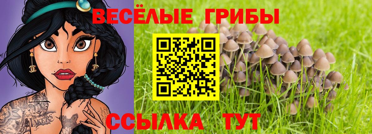 Псилоцибиновые грибы Magic Shrooms Знаменск